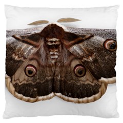 Night Butterfly Butterfly Giant Standard Flano Cushion Case (one Side) by Sapixe