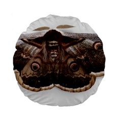 Night Butterfly Butterfly Giant Standard 15  Premium Flano Round Cushions by Sapixe