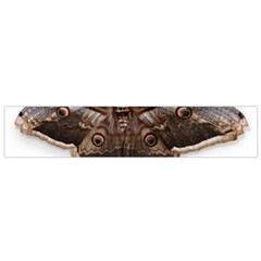 Night Butterfly Butterfly Giant Small Flano Scarf by Sapixe