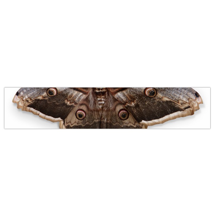 Night Butterfly Butterfly Giant Small Flano Scarf