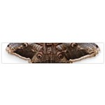 Night Butterfly Butterfly Giant Small Flano Scarf Back