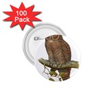 Bird Owl Animal Vintage Isolated 1.75  Buttons (100 pack)  Front