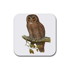 Bird Owl Animal Vintage Isolated Rubber Coaster (square)  by Sapixe