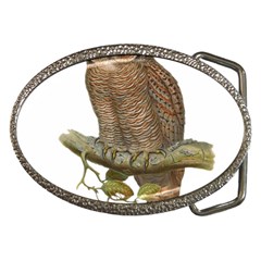 Bird Owl Animal Vintage Isolated Belt Buckles