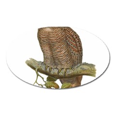 Bird Owl Animal Vintage Isolated Oval Magnet by Sapixe