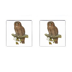 Bird Owl Animal Vintage Isolated Cufflinks (square) by Sapixe