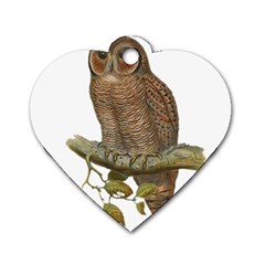 Bird Owl Animal Vintage Isolated Dog Tag Heart (one Side) by Sapixe