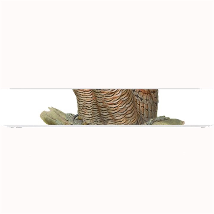 Bird Owl Animal Vintage Isolated Small Bar Mats