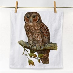 Bird Owl Animal Vintage Isolated Face Towel by Sapixe