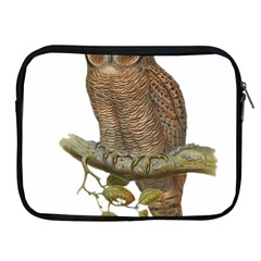 Bird Owl Animal Vintage Isolated Apple Ipad 2/3/4 Zipper Cases by Sapixe