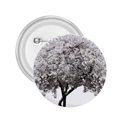 Nature Tree Blossom Bloom Cherry 2 25  Buttons by Sapixe