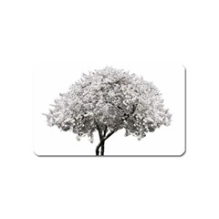 Nature Tree Blossom Bloom Cherry Magnet (name Card) by Sapixe