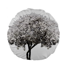 Nature Tree Blossom Bloom Cherry Standard 15  Premium Flano Round Cushions by Sapixe