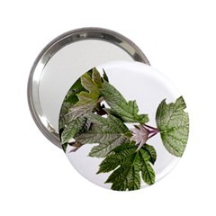 Leaves Plant Branch Nature Foliage 2 25  Handbag Mirrors by Sapixe