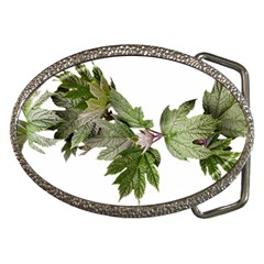 Leaves Plant Branch Nature Foliage Belt Buckles by Sapixe