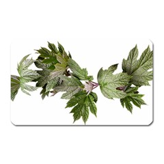 Leaves Plant Branch Nature Foliage Magnet (rectangular) by Sapixe