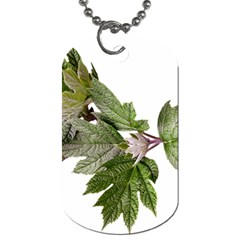 Leaves Plant Branch Nature Foliage Dog Tag (two Sides) by Sapixe