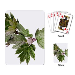 Leaves Plant Branch Nature Foliage Playing Card by Sapixe