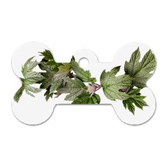 Leaves Plant Branch Nature Foliage Dog Tag Bone (two Sides) by Sapixe