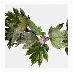 Leaves Plant Branch Nature Foliage Medium Glasses Cloth (2-side) by Sapixe