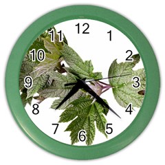 Leaves Plant Branch Nature Foliage Color Wall Clocks by Sapixe