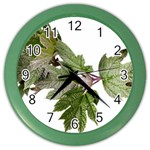 Leaves Plant Branch Nature Foliage Color Wall Clocks Front