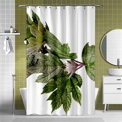 Leaves Plant Branch Nature Foliage Shower Curtain 48  X 72  (small)  by Sapixe