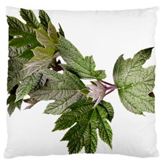 Leaves Plant Branch Nature Foliage Large Cushion Case (one Side) by Sapixe