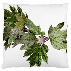 Leaves Plant Branch Nature Foliage Standard Flano Cushion Case (one Side) by Sapixe