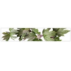 Leaves Plant Branch Nature Foliage Large Flano Scarf  by Sapixe