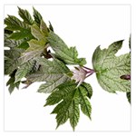 Leaves Plant Branch Nature Foliage Large Satin Scarf (Square) Front