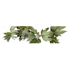 Leaves Plant Branch Nature Foliage Satin Scarf (oblong) by Sapixe