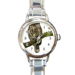 Owl Bird Round Italian Charm Watch by Sapixe