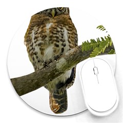 Owl Bird Round Mousepads by Sapixe