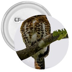 Owl Bird 3  Buttons