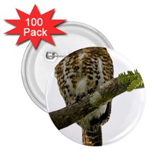 Owl Bird 2 25  Buttons (100 Pack)  by Sapixe