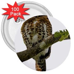 Owl Bird 3  Buttons (100 Pack) 