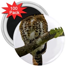 Owl Bird 3  Magnets (100 Pack) by Sapixe