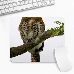 Owl Bird Large Mousepads by Sapixe