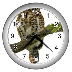 Owl Bird Wall Clocks (silver) 