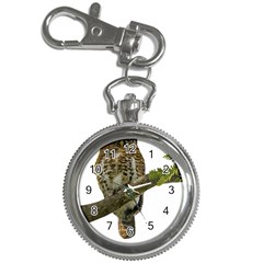 Owl Bird Key Chain Watches by Sapixe