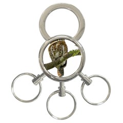 Owl Bird 3-ring Key Chains by Sapixe