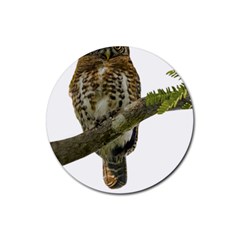 Owl Bird Rubber Round Coaster (4 Pack) 