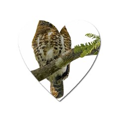 Owl Bird Heart Magnet