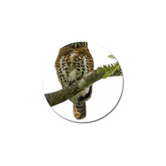 Owl Bird Golf Ball Marker (10 Pack)