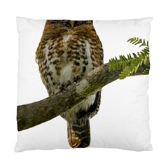 Owl Bird Standard Cushion Case (one Side) by Sapixe