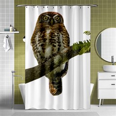 Owl Bird Shower Curtain 48  X 72  (small)  by Sapixe