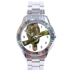 Owl Bird Stainless Steel Analogue Watch by Sapixe