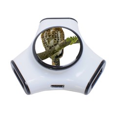 Owl Bird 3-port Usb Hub by Sapixe