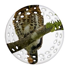 Owl Bird Ornament (round Filigree)